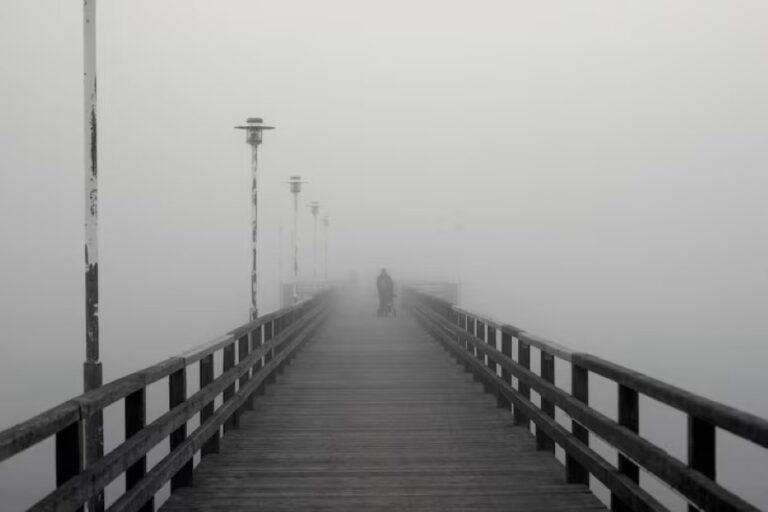 Lire la suite à propos de l’article En route vers 2026